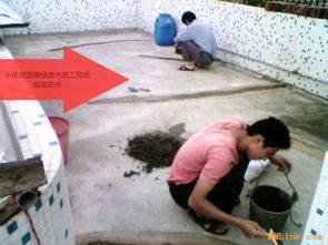 專業(yè)承接南城整體防水補漏與水電維修 一站式解決建筑核心隱患